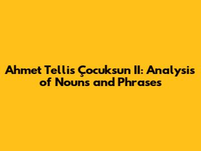 Ahmet Telli's "Çocuksun II": Analysis of Nouns and Phrases