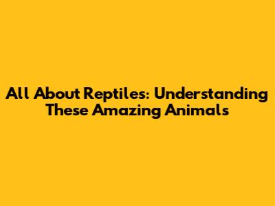 All About Reptiles: Understanding These Amazing Animals