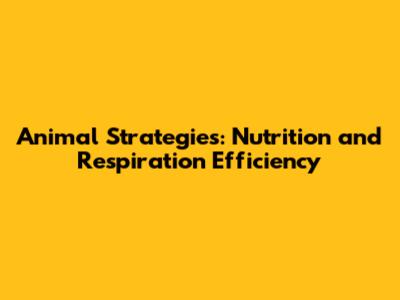 Animal Strategies: Nutrition and Respiration Efficiency