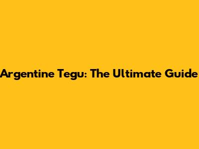 Argentine Tegu: The Ultimate Guide