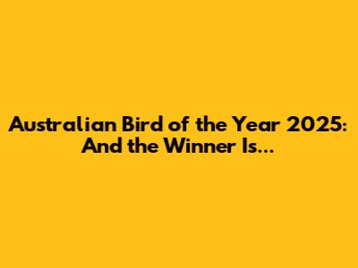 Australian Bird of the Year 2025: And the Winner Is...
