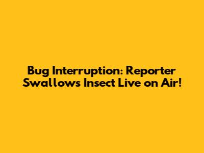 Bug Interruption: Reporter Swallows Insect Live on Air!
