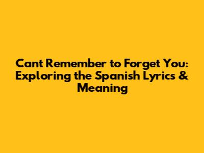 Can't Remember to Forget You: Exploring the Spanish Lyrics & Meaning
