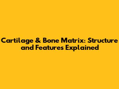 Cartilage & Bone Matrix: Structure and Features Explained