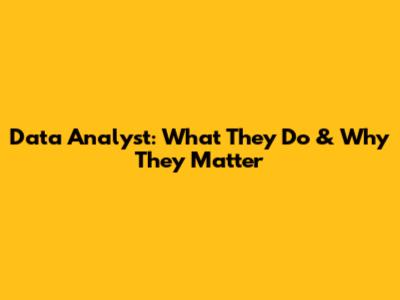 Data Analyst: What They Do & Why They Matter
