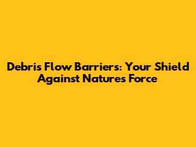 Debris Flow Barriers: Your Shield Against Nature's Force