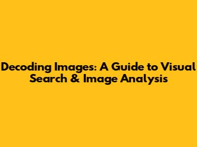 Decoding Images: A Guide to Visual Search & Image Analysis