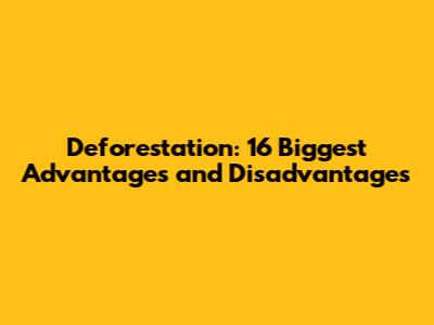 Deforestation: 16 Biggest Advantages and Disadvantages