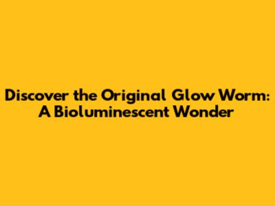 Discover the Original Glow Worm: A Bioluminescent Wonder