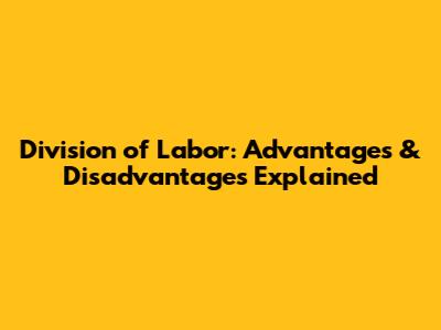 Division of Labor: Advantages & Disadvantages Explained