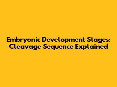 Embryonic Development Stages: Cleavage Sequence Explained