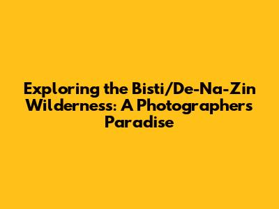 Exploring the Bisti/De-Na-Zin Wilderness: A Photographer's Paradise