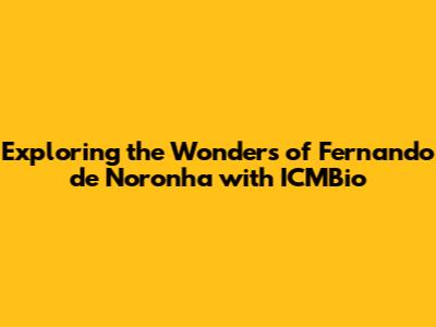 Exploring the Wonders of Fernando de Noronha with ICMBio