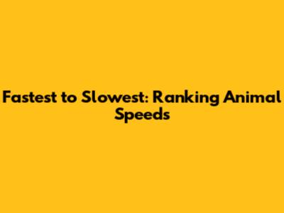 Fastest to Slowest: Ranking Animal Speeds