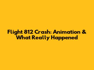 Flight 812 Crash: Animation & What Really Happened
