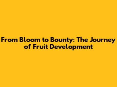 From Bloom to Bounty: The Journey of Fruit Development