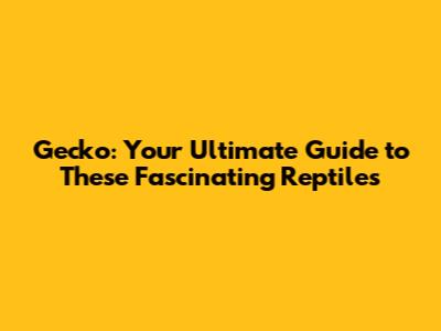Gecko: Your Ultimate Guide to These Fascinating Reptiles