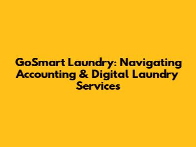 GoSmart Laundry: Navigating Accounting & Digital Laundry Services