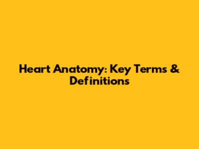 Heart Anatomy: Key Terms & Definitions