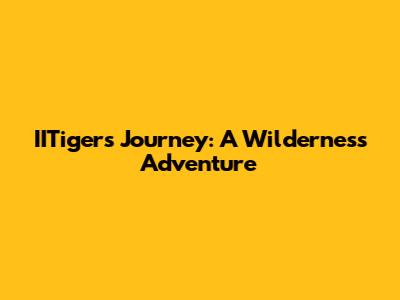 IITiger's Journey: A Wilderness Adventure
