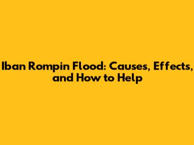 Iban Rompin Flood: Causes, Effects, and How to Help