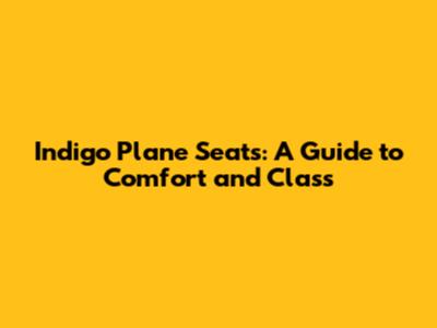 Indigo Plane Seats: A Guide to Comfort and Class
