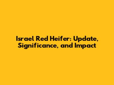 Israel Red Heifer: Update, Significance, and Impact