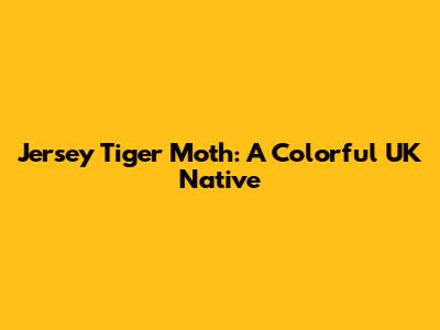 Jersey Tiger Moth: A Colorful UK Native