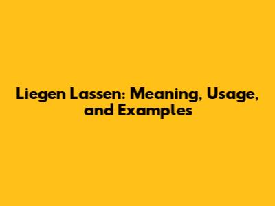 Liegen Lassen: Meaning, Usage, and Examples