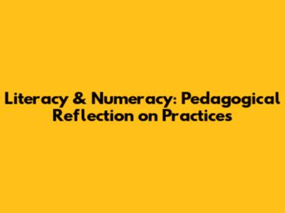 Literacy & Numeracy: Pedagogical Reflection on Practices