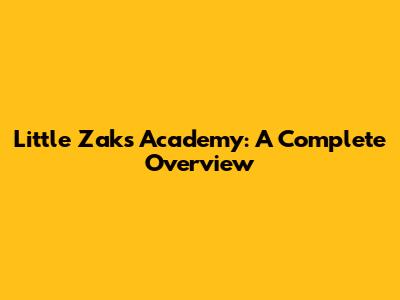 Little Zak's Academy: A Complete Overview