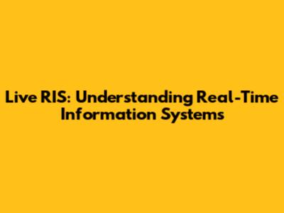 Live RIS: Understanding Real-Time Information Systems