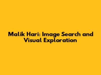 Malik Hari: Image Search and Visual Exploration