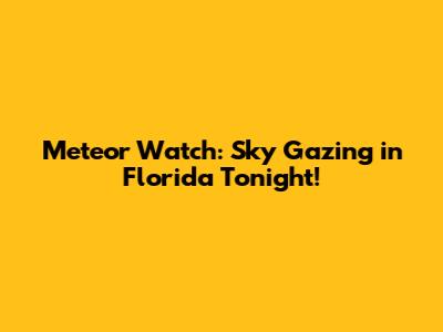 Meteor Watch: Sky Gazing in Florida Tonight!