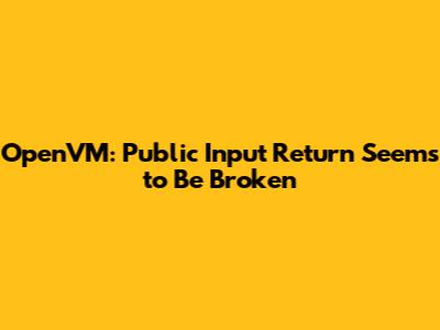 OpenVM: Public Input Return Seems to Be Broken