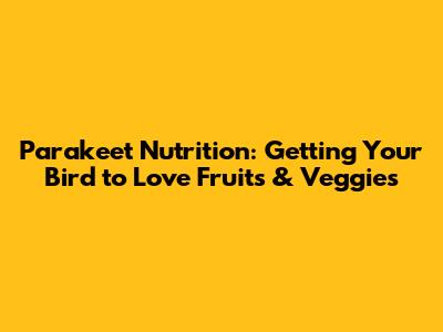 Parakeet Nutrition: Getting Your Bird to Love Fruits & Veggies