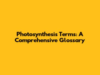 Photosynthesis Terms: A Comprehensive Glossary