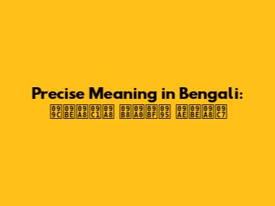 Precise Meaning in Bengali: জানুন সঠিক মানে