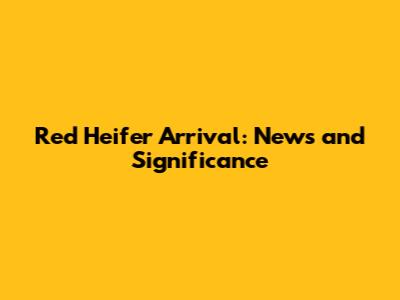 Red Heifer Arrival: News and Significance