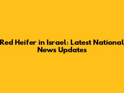 Red Heifer in Israel: Latest National News Updates