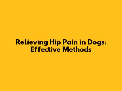 Relieving Hip Pain in Dogs: Effective Methods