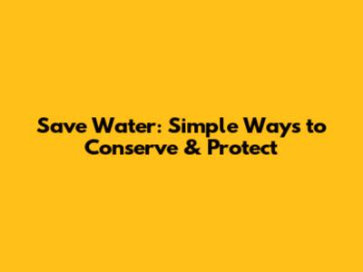 Save Water: Simple Ways to Conserve & Protect