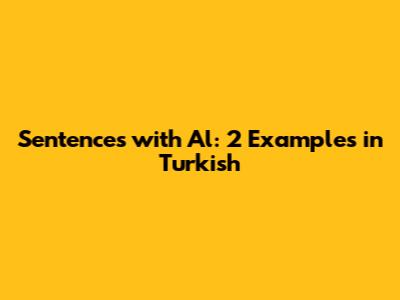 Sentences with 'Al': 2 Examples in Turkish