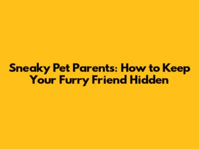 Sneaky Pet Parents: How to Keep Your Furry Friend Hidden