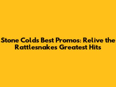 Stone Cold's Best Promos: Relive the Rattlesnake's Greatest Hits