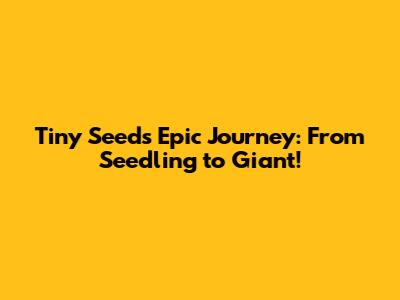 Tiny Seed's Epic Journey: From Seedling to Giant!