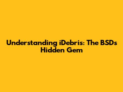 Understanding iDebris: The BSD's Hidden Gem