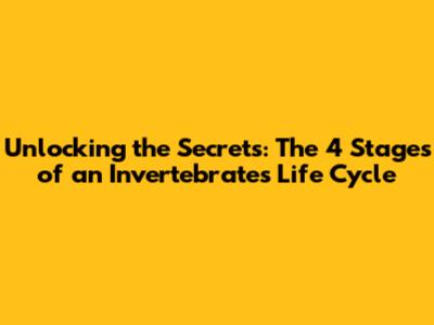 Unlocking the Secrets: The 4 Stages of an Invertebrate's Life Cycle