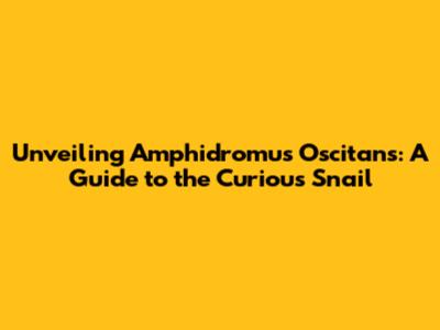 Unveiling Amphidromus Oscitans: A Guide to the Curious Snail