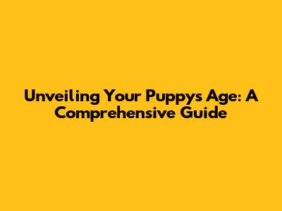 Unveiling Your Puppy's Age: A Comprehensive Guide